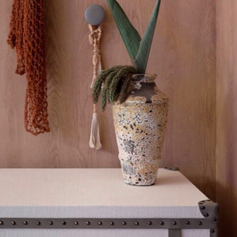 imagem-destaque-argos-home